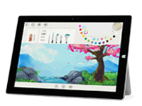 蒙山Surface 无法开启、Windows 无法启动或电池无法充电
