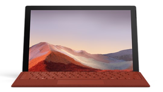 蒙山清洁和维护 Surface